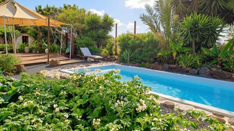 Garden, Garden view, Area and facilities, Swimming pool