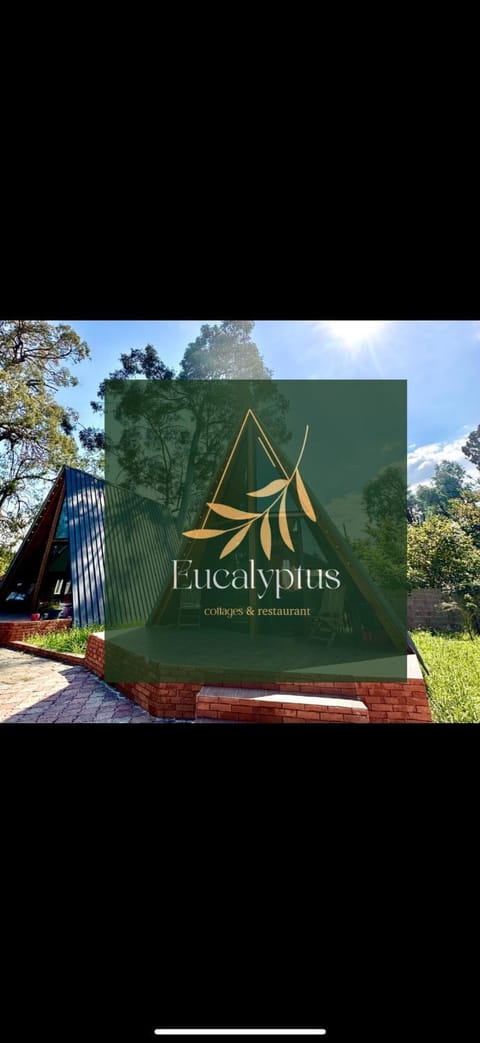 Day, Property logo or sign, Logo/Certificate/Sign, Certificate/Award