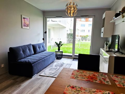 TV and multimedia, Living room, Garden view