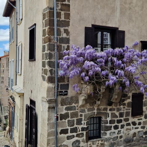 Gîte Des Tables - Cathédrale, Cœur historique, Vue Apartment in Auvergne-Rhône-Alpes