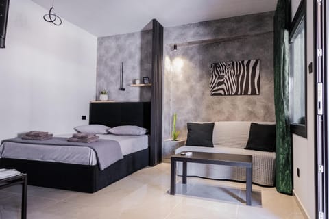 Bed, Living room, Photo of the whole room, Seating area, Bedroom