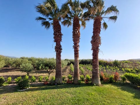 The Three Palms Samos Seaside Villa Villa in Samos, Greece