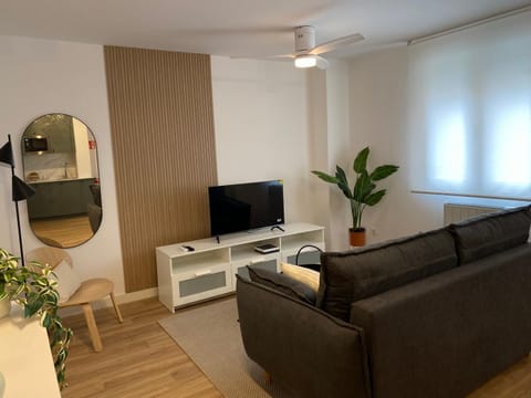 TV and multimedia, Living room, fireplace