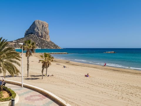 Nearby landmark, Natural landscape, Beach, Sea view