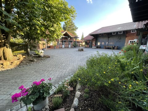 Property building, Day, Garden