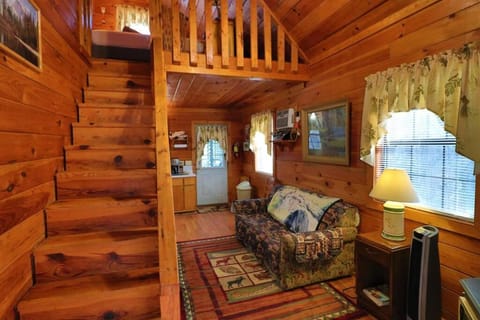 Mountain Cabin 2B Jacuzzi #10 Cabin in White County