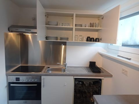 Kitchen or kitchenette, dishwasher, oven, stove