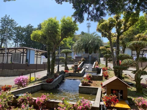 Garden, Garden view, Garden view, Inner courtyard view