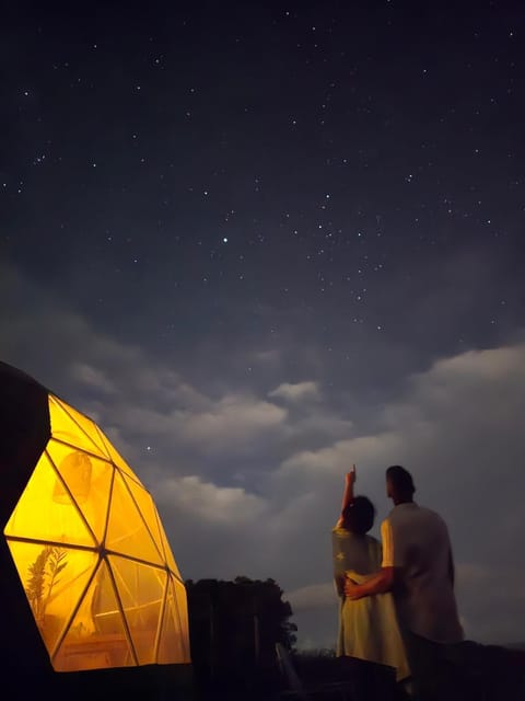 1 Waipū Thunder Domes Off-grid Eco Seaview Glamping Dome Luxury tent in Auckland Region
