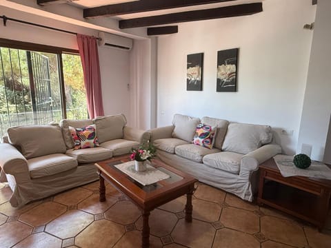 Living room, Seating area, air conditioner