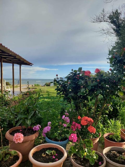 Natural landscape, Garden, Garden view, Sea view