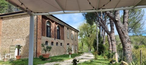 Property building, Spring, Day, Garden, Garden view