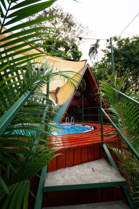 Garden, Garden view, Pool view, Swimming pool