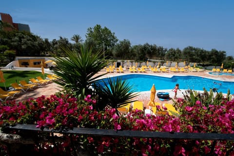 Spring, Day, Natural landscape, Garden, Garden, Garden view, Pool view, Swimming pool, children, young children, sunbed
