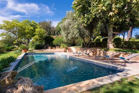 Day, Natural landscape, Summer, Garden, Garden view, Pool view, Swimming pool, sunbed