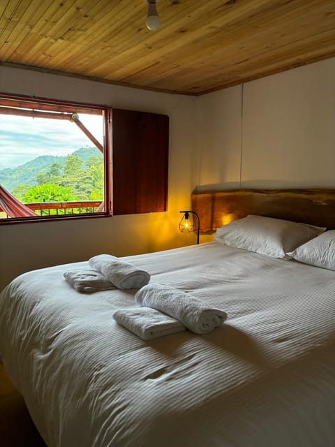 Bed, Natural landscape, Photo of the whole room, Bedroom, Mountain view, towels