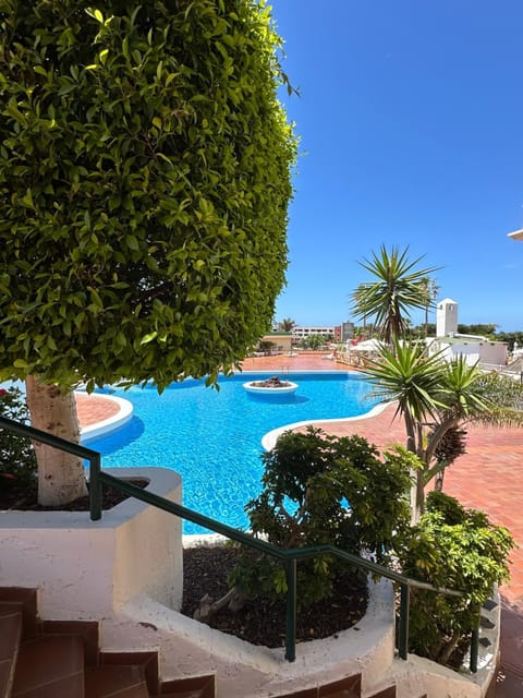 Garden, Swimming pool, sunbed