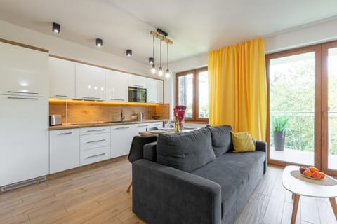 Kitchen or kitchenette, Living room, Seating area