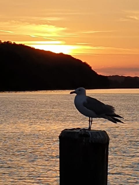 Sunrise, Sunset