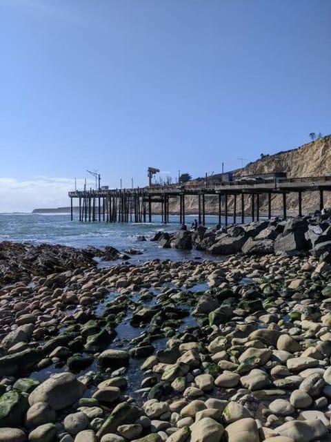 Boathouse Cottage (Historic Coast Guard property) House in Point Arena