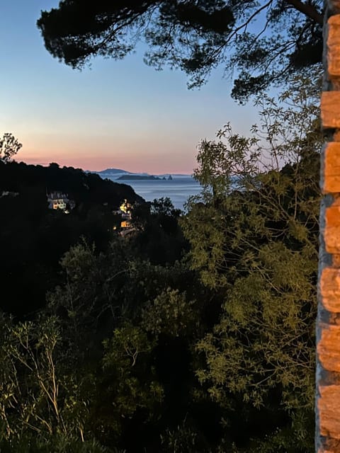 Sea view