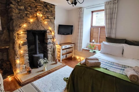 Property building, fireplace, fireplace