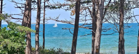 Natural landscape, Beach, Sea view