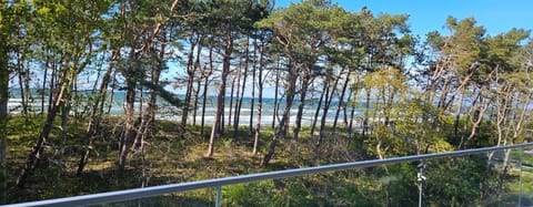 Natural landscape, Balcony/Terrace, Beach, Sea view