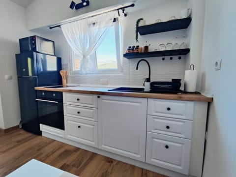 Kitchen or kitchenette, minibar, pet friendly, stove