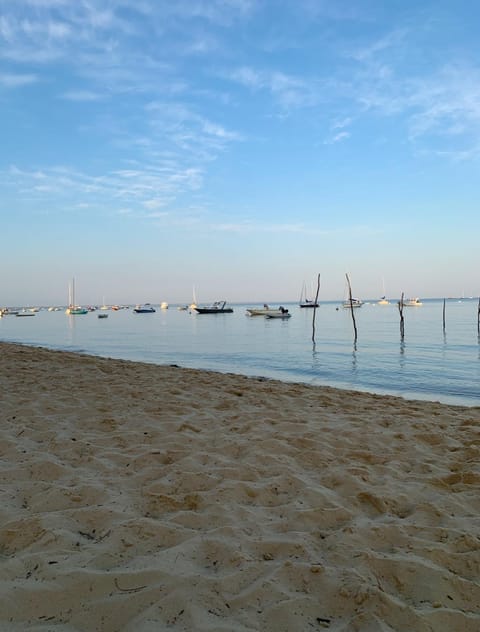 Natural landscape, Beach