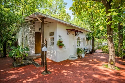 Property building, Patio, Spring, Day, Garden, Garden view