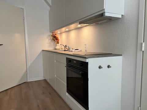 Kitchen or kitchenette, stove