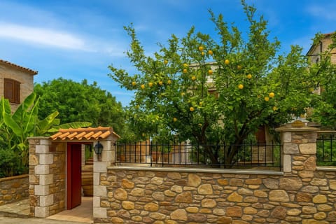 Property building, Garden view