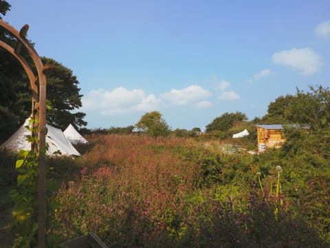 Spring, Natural landscape, Garden, Garden view