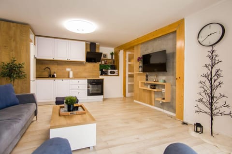 TV and multimedia, Kitchen or kitchenette, Living room, Seating area, minibar, pet friendly, stove