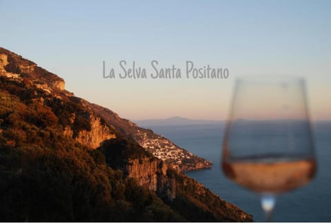 B&B La Selva Santa Bed and Breakfast in Positano