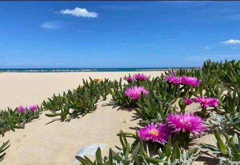Spring, Natural landscape, Beach