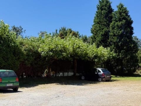 Hostal Restaurante Pinarejo Bed and Breakfast in O Salnés