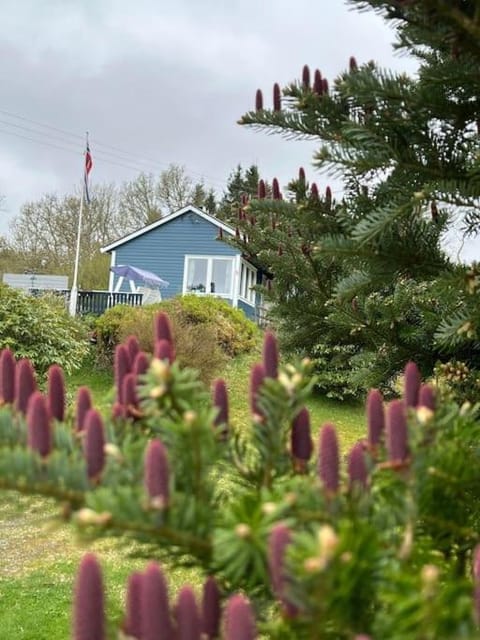 Property building, Day, Garden