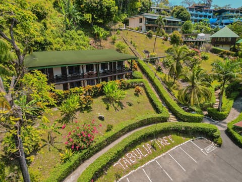 Property building, Garden view