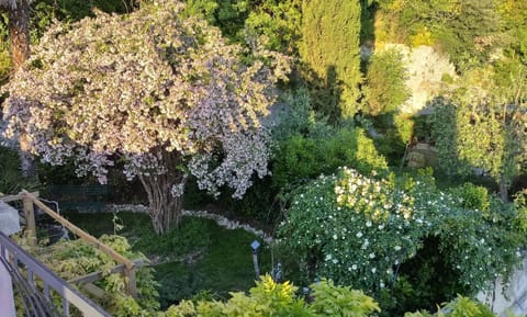 Natural landscape, Garden, Garden, Garden view