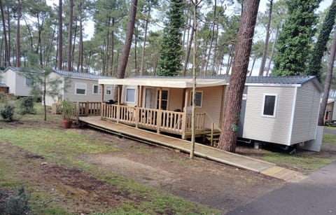Property building, Natural landscape, Garden
