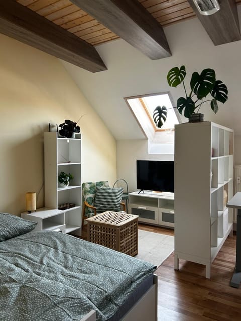 TV and multimedia, Living room, Photo of the whole room, Seating area, Bedroom