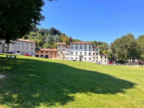 Natural landscape, Garden, Garden view
