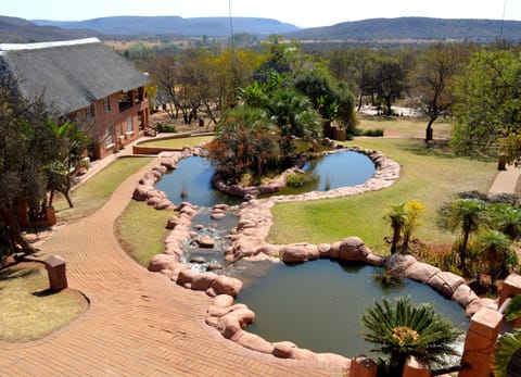 Property building, Bird's eye view