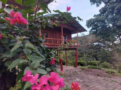 Property building, Day, Garden, Garden view