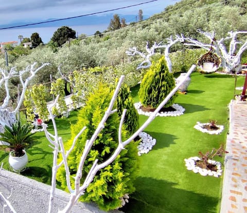 Day, Natural landscape, Garden, Garden view