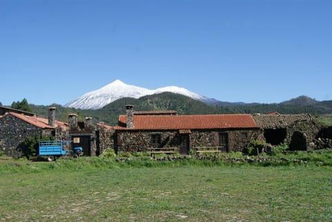 Area and facilities