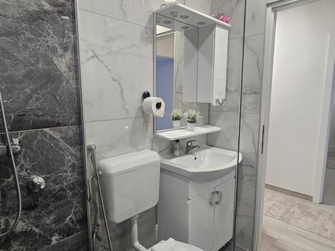 Esma Apartment in Lika-Senj County