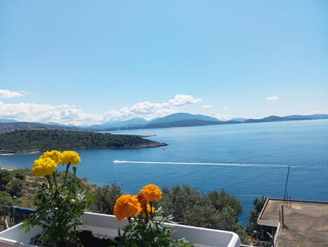 Vila Fjona Apartment in Sarandë